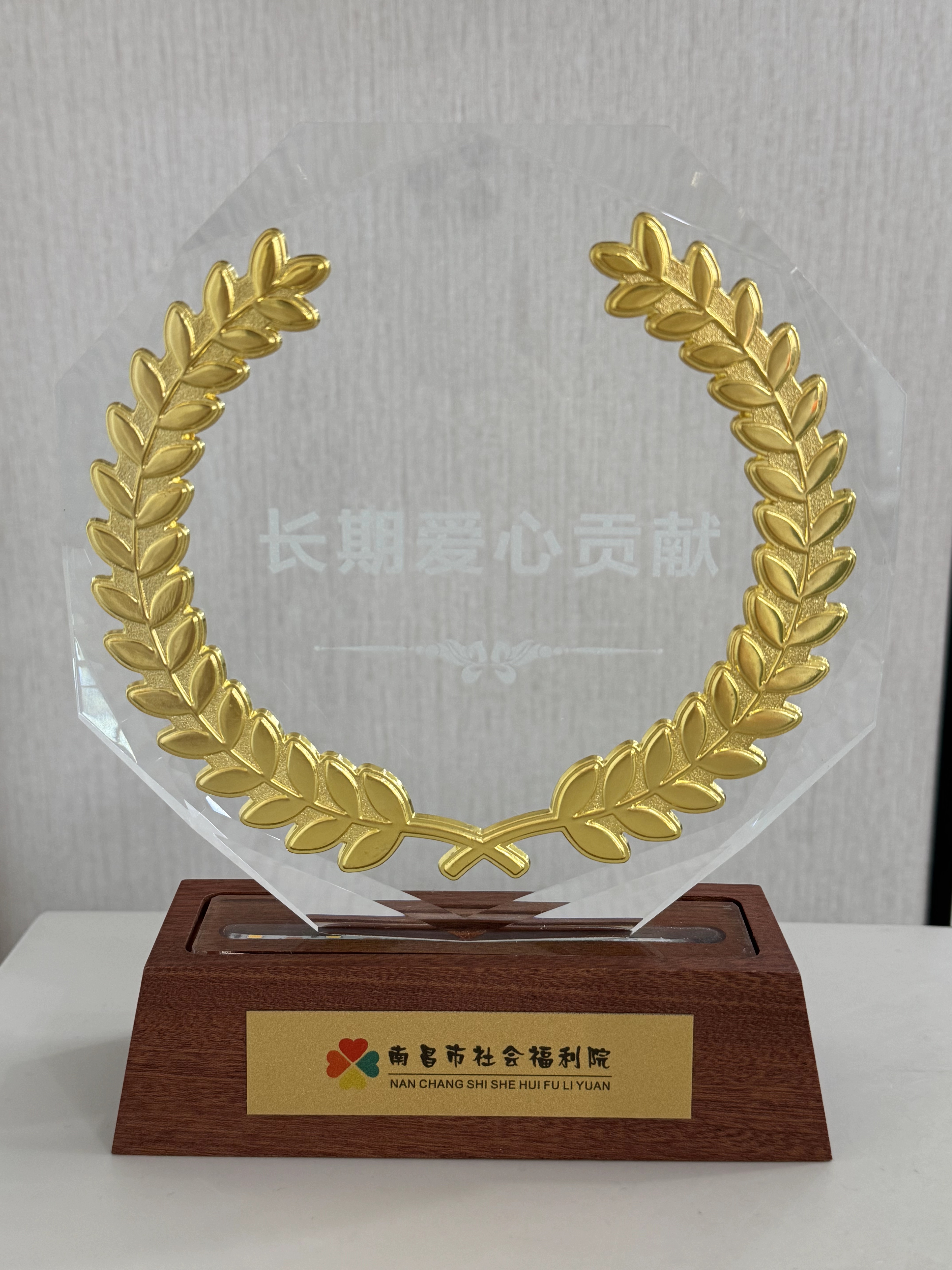 资阳市社会福利院-持久爱心贡献.jpg